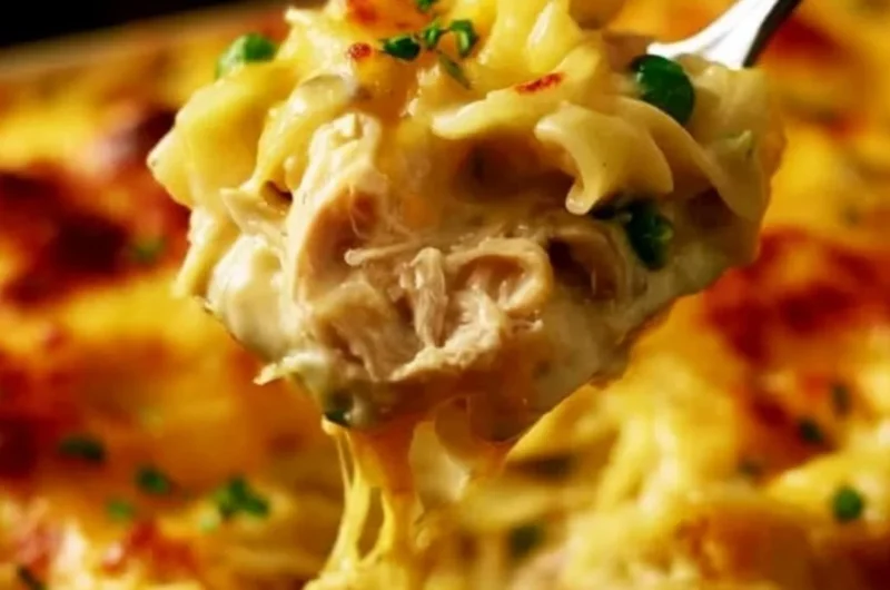 Pioneer Woman's Chicken Noodle Casserole served in a dish with garnishes